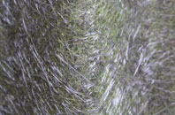 Warslow fibreglass roof work